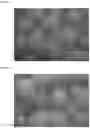 Fig. 06 - Composition and method for treating urea