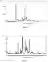 Fig. 03 - SOLID STATE FORMS OF SIPONIMOD