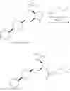 Fig. 44 - PYRROLIDINE OREXIN RECEPTOR AGONISTS