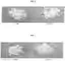Fig. 07 - Processes for preparing (3R,4R)-1-benzyl-N,4-dimethylpiperidin-3-amine or a salt thereof and processes for preparing tofacitinib using the same