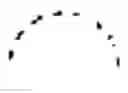 Fig. 03 - ANALOGUES OF PENTAMIDINE AND USES THEREFOR