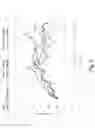 Fig. 06 - ANALOGUES OF PENTAMIDINE AND USES THEREFOR