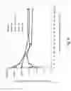 Fig. 09 - ANALOGUES OF PENTAMIDINE AND USES THEREFOR