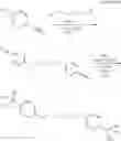 Fig. 80 - ANALOGUES OF PENTAMIDINE AND USES THEREFOR