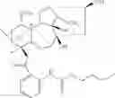 Fig. 88 - Lappaconitine derivative with analgesic activity, and preparation and application thereof