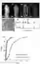 Fig. 02 - Hydrogenation catalyst used in amide compound hydrogenation and method for producing amine compound using same
