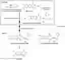 Fig. 01 - Process for the differential solubility-driven asymmetric transformation of substituted 2H-chromene-3-carboxylic acids