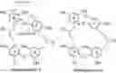 Fig. 01 - CHRYSOPHAENTIN ANALOGS AND USE THEREOF