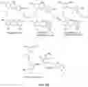 Fig. 05 - CHRYSOPHAENTIN ANALOGS AND USE THEREOF