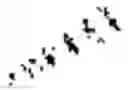 Fig. 03 - Vinylpyridine carboxamide compound as PD-L1 immunomodulator