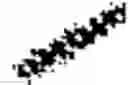 Fig. 04 - Vinylpyridine carboxamide compound as PD-L1 immunomodulator