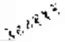 Fig. 05 - Vinylpyridine carboxamide compound as PD-L1 immunomodulator
