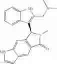 Fig. 176 - Isoindolinone substituted indoles and derivatives as RAS inhibitors