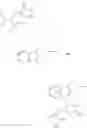 Fig. 65 - Isoindolinone substituted indoles and derivatives as RAS inhibitors