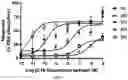 Fig. 05 - COMPOUNDS AND METHODS OF DEUTERATED XANOMELINE FOR TREATING NEUROLOGICAL DISORDERS