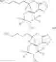 Fig. 23 - COMPOUNDS AND METHODS OF DEUTERATED XANOMELINE FOR TREATING NEUROLOGICAL DISORDERS