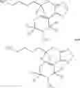 Fig. 27 - COMPOUNDS AND METHODS OF DEUTERATED XANOMELINE FOR TREATING NEUROLOGICAL DISORDERS