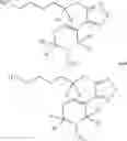 Fig. 31 - COMPOUNDS AND METHODS OF DEUTERATED XANOMELINE FOR TREATING NEUROLOGICAL DISORDERS