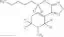 Fig. 63 - COMPOUNDS AND METHODS OF DEUTERATED XANOMELINE FOR TREATING NEUROLOGICAL DISORDERS
