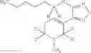 Fig. 69 - COMPOUNDS AND METHODS OF DEUTERATED XANOMELINE FOR TREATING NEUROLOGICAL DISORDERS