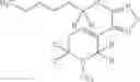 Fig. 74 - COMPOUNDS AND METHODS OF DEUTERATED XANOMELINE FOR TREATING NEUROLOGICAL DISORDERS