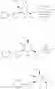 Fig. 54 - Small molecule inhibitors of Galectin-3