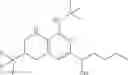 Fig. 108 - Heteroaromatic and Heterobicyclic Aromatic Derivatives for the Treatment of Ferroptosis-Related Disorders
