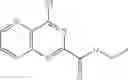 Fig. 250 - Heteroaromatic and Heterobicyclic Aromatic Derivatives for the Treatment of Ferroptosis-Related Disorders