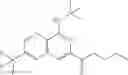 Fig. 302 - Heteroaromatic and Heterobicyclic Aromatic Derivatives for the Treatment of Ferroptosis-Related Disorders