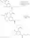 Fig. 397 - Heteroaromatic and Heterobicyclic Aromatic Derivatives for the Treatment of Ferroptosis-Related Disorders