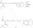 Fig. 324 - Substituted amino acids as integrin inhibitors