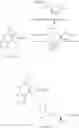 Fig. 31 - IMIDAZOQUINOLINE DERIVATIVES AND THEIR USE IN THERAPY