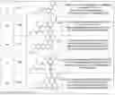 Fig. 06 - 5,6,7,7a-tetrahydrocyclopenta[f]pyrido[1,2-h][1,7]naphthyridin-11(4bH)-one compounds and methods of use