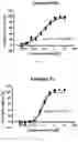 Fig. 02 - Compounds as Inhibitors of Macrophage Migration Inhibitory Factor