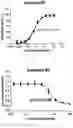 Fig. 04 - Compounds as Inhibitors of Macrophage Migration Inhibitory Factor