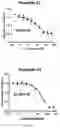 Fig. 06 - Compounds as Inhibitors of Macrophage Migration Inhibitory Factor