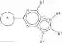 Fig. 325 - Compounds as Inhibitors of Macrophage Migration Inhibitory Factor