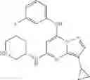 Fig. 20 - TRISUBSTITUTED PYRAZOLO [1,5-A] PYRIMIDINE COMPOUNDS AS CDK7 INHIBITORS