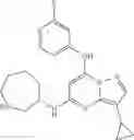 Fig. 21 - TRISUBSTITUTED PYRAZOLO [1,5-A] PYRIMIDINE COMPOUNDS AS CDK7 INHIBITORS