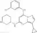 Fig. 34 - TRISUBSTITUTED PYRAZOLO [1,5-A] PYRIMIDINE COMPOUNDS AS CDK7 INHIBITORS