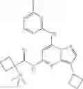 Fig. 41 - TRISUBSTITUTED PYRAZOLO [1,5-A] PYRIMIDINE COMPOUNDS AS CDK7 INHIBITORS