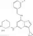 Fig. 48 - TRISUBSTITUTED PYRAZOLO [1,5-A] PYRIMIDINE COMPOUNDS AS CDK7 INHIBITORS