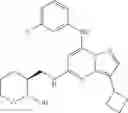 Fig. 54 - TRISUBSTITUTED PYRAZOLO [1,5-A] PYRIMIDINE COMPOUNDS AS CDK7 INHIBITORS