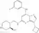 Fig. 66 - TRISUBSTITUTED PYRAZOLO [1,5-A] PYRIMIDINE COMPOUNDS AS CDK7 INHIBITORS