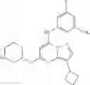 Fig. 74 - TRISUBSTITUTED PYRAZOLO [1,5-A] PYRIMIDINE COMPOUNDS AS CDK7 INHIBITORS
