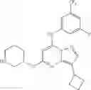 Fig. 81 - TRISUBSTITUTED PYRAZOLO [1,5-A] PYRIMIDINE COMPOUNDS AS CDK7 INHIBITORS