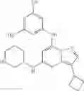 Fig. 84 - TRISUBSTITUTED PYRAZOLO [1,5-A] PYRIMIDINE COMPOUNDS AS CDK7 INHIBITORS