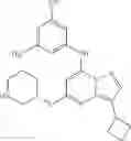 Fig. 86 - TRISUBSTITUTED PYRAZOLO [1,5-A] PYRIMIDINE COMPOUNDS AS CDK7 INHIBITORS