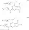 Fig. 16 - IRAK INHIBITORS, PREPARATION METHOD AND MEDICINAL USES THEREOF