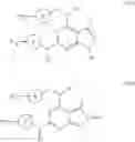 Fig. 18 - IRAK INHIBITORS, PREPARATION METHOD AND MEDICINAL USES THEREOF